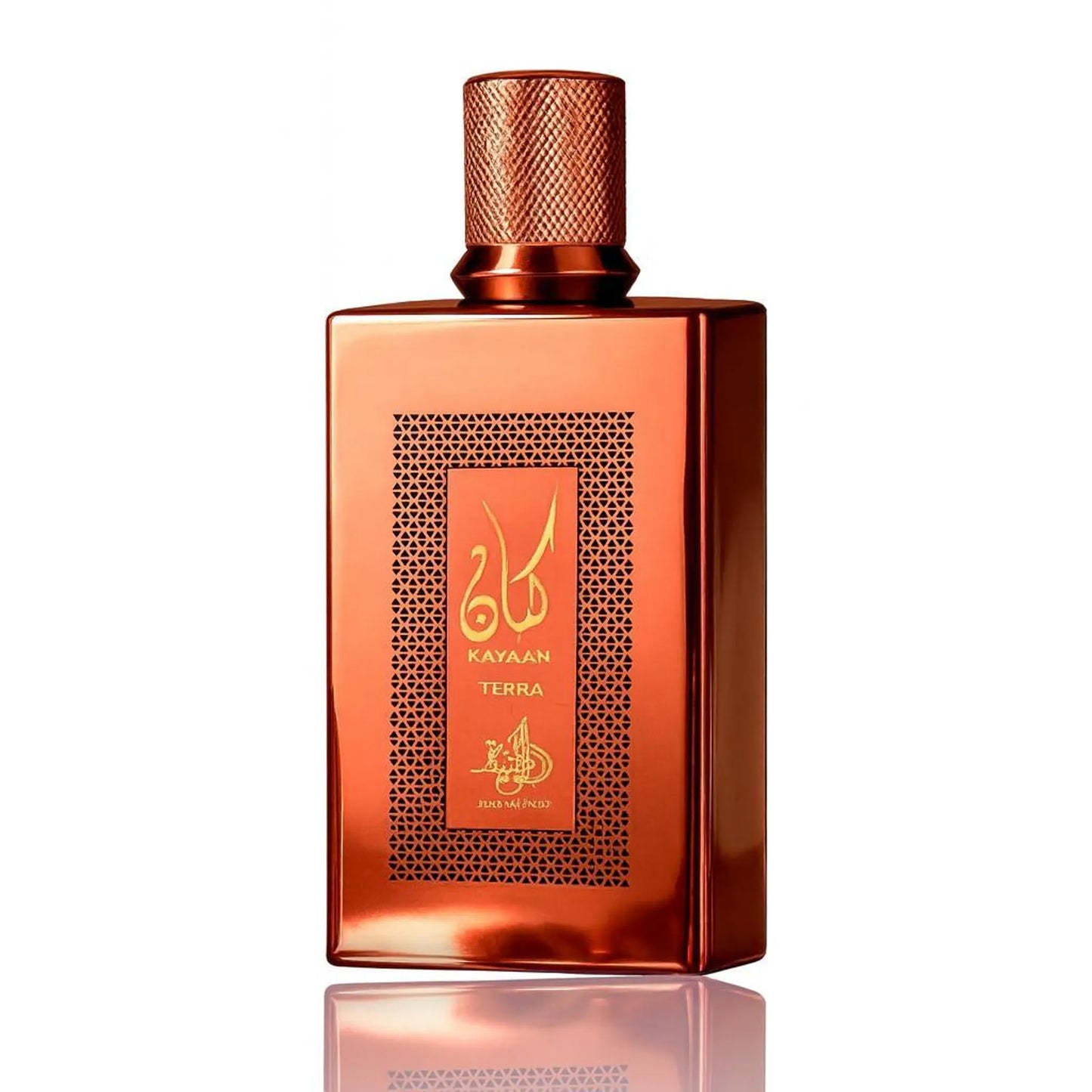 Al Wataniah Kayaan Terra Eau De Parfum 100 ml (unisexe)