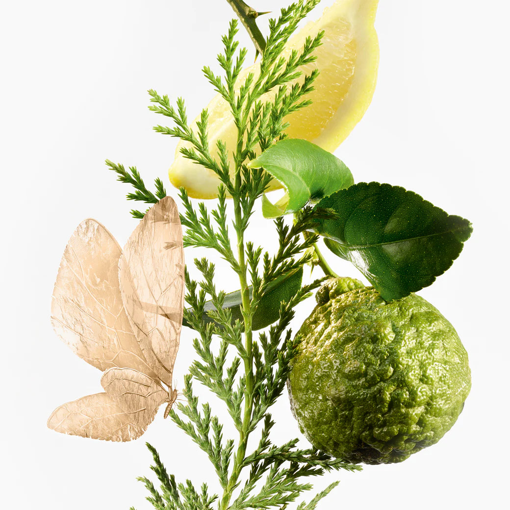 Annick Goutal Eau D´Hadrien Eau de Parfum Femme 100 ml