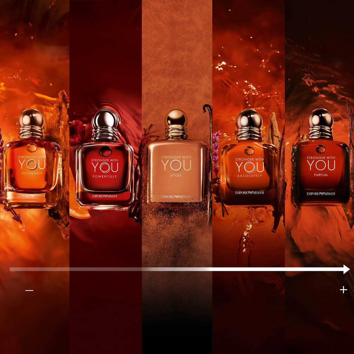 Armani Stronger With You Spices Eau de Parfum Homme 100 ml