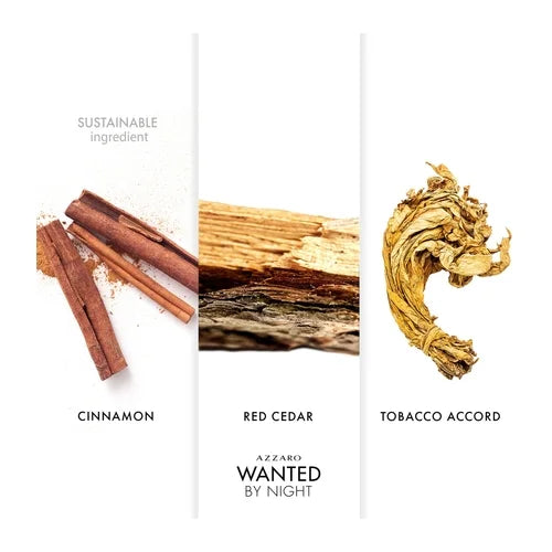 Azzaro Wanted By Night Eau de Parfum Homme 100 ml