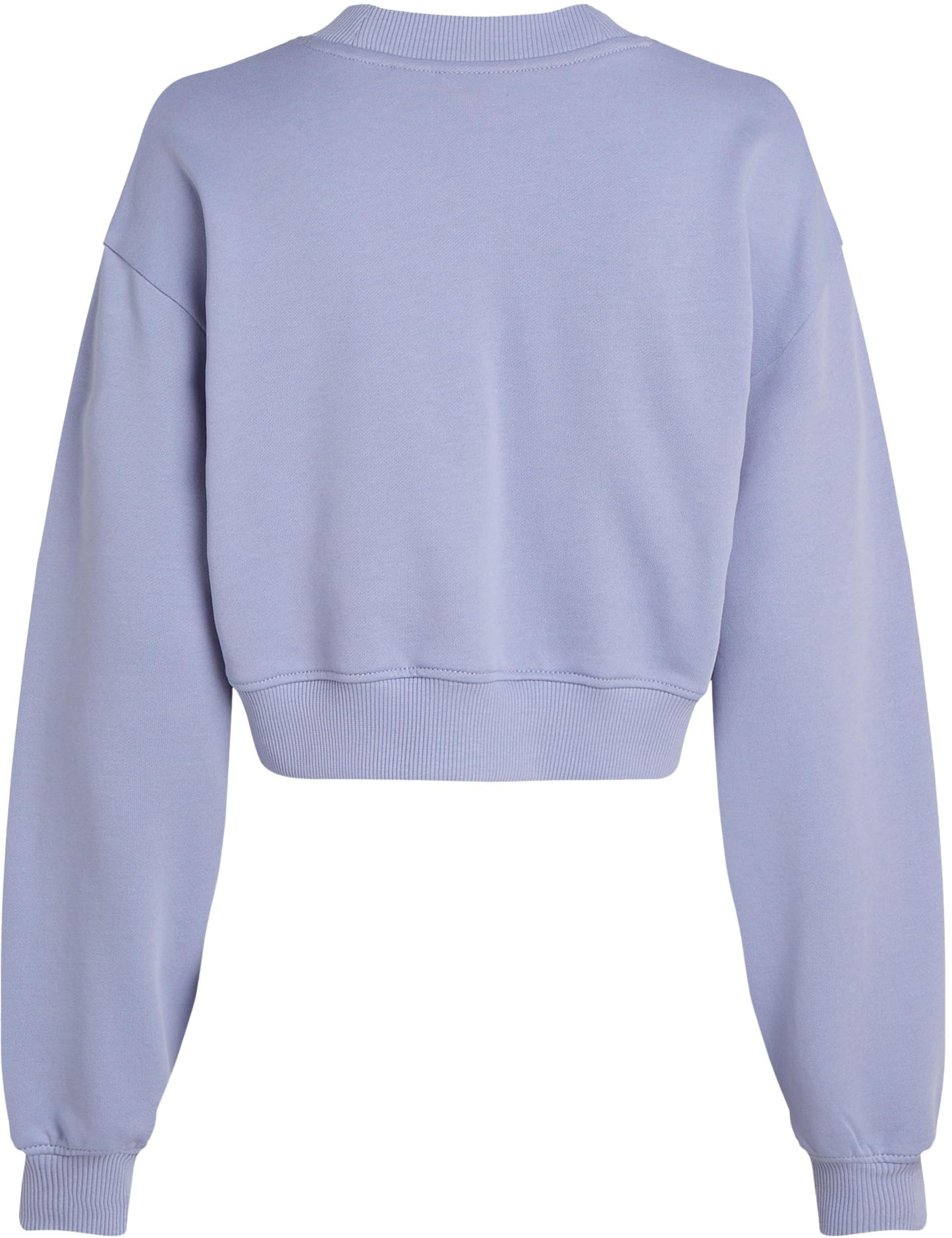 Calvin Klein Shadow J20j225544 Sweat-shirt à col rond graphique pour femme, violet, taille M