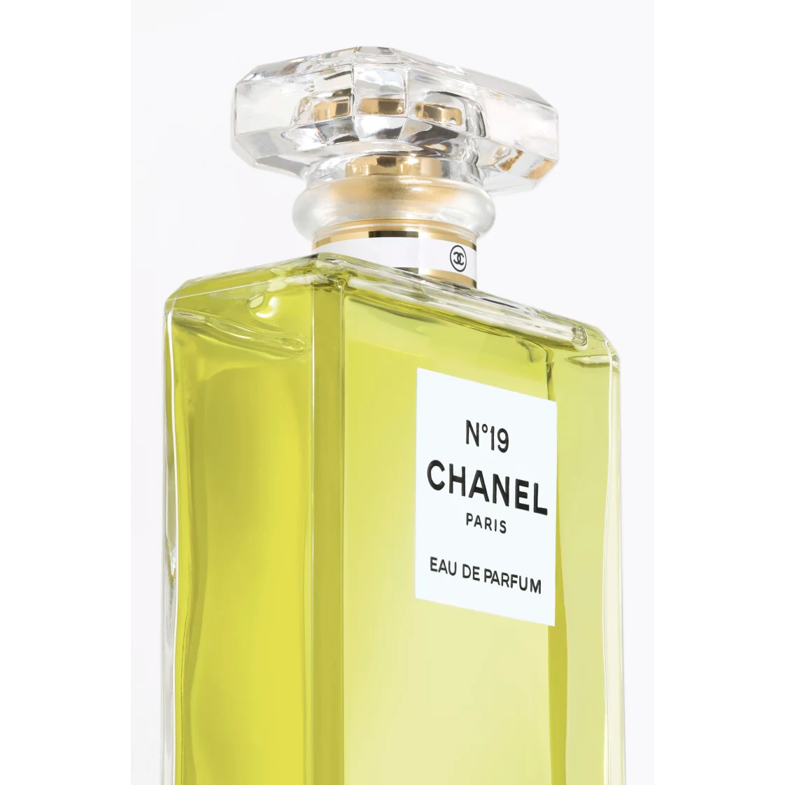Chanel No.19 Eau de Parfum Femme 100 ml