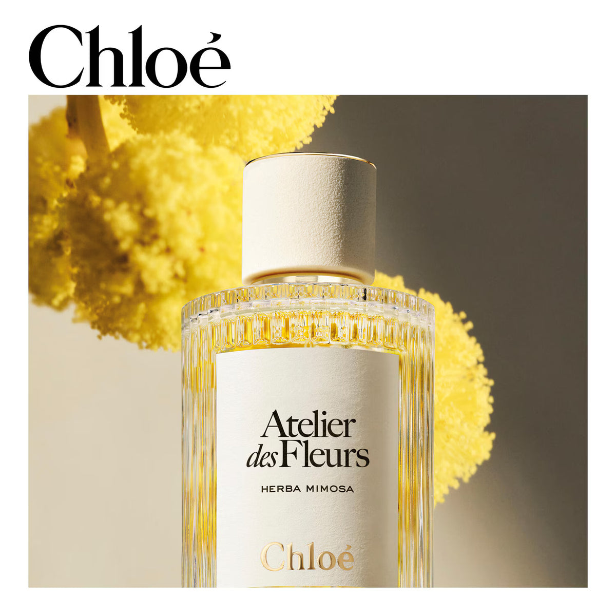 Chloé Atelier Des Fleurs Herba Mimosa Eau de Parfum Unisexe 150 ml