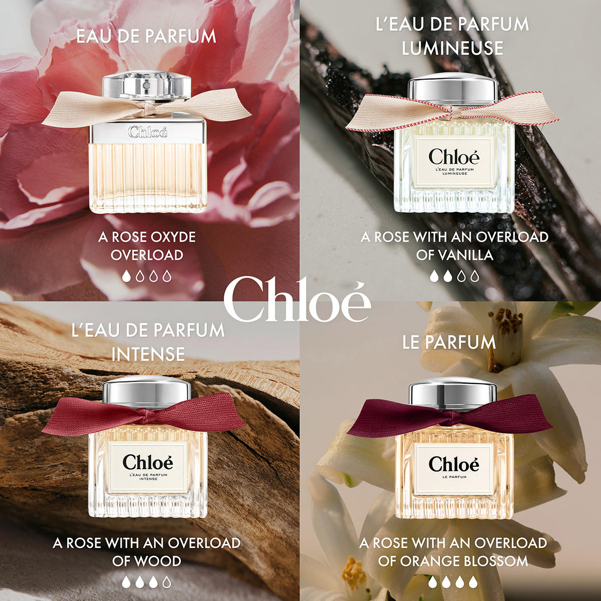 Chloé Le Parfum Femme 50 ml – Parfum Floral Ambré Élégant & Intense
