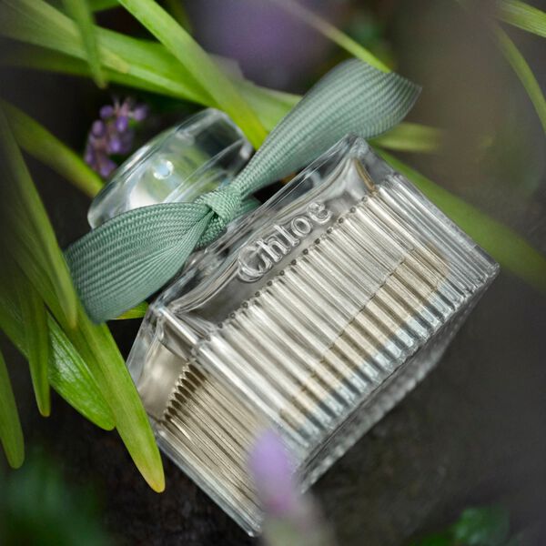 Chloé Rose Naturelle Intense Eau de Parfum Femme 100 ml Rechargeable