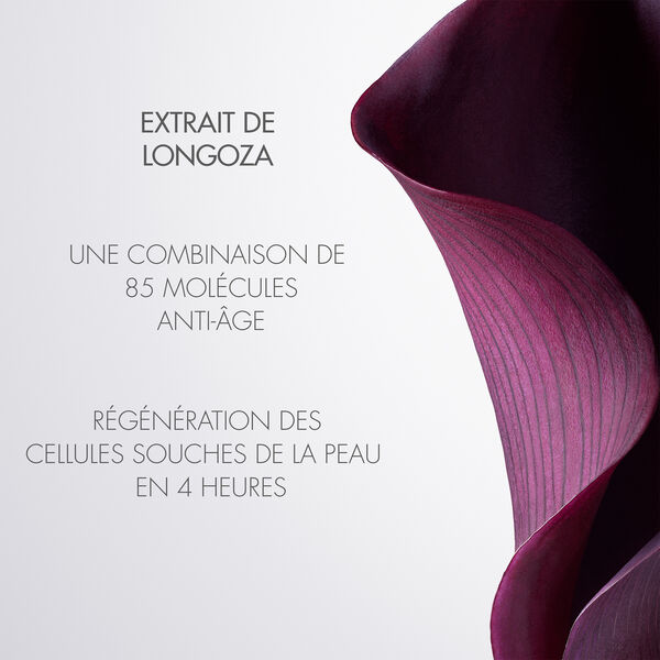 Dior Capture Totale Intensive Essence Lotion 150 ml : lotion anti-âge éclat et hydratation intense