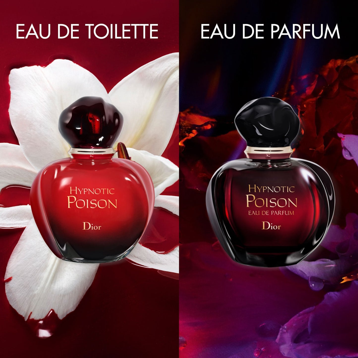 Dior Hypnotic Poison Eau de Toilette Femme 50 ml