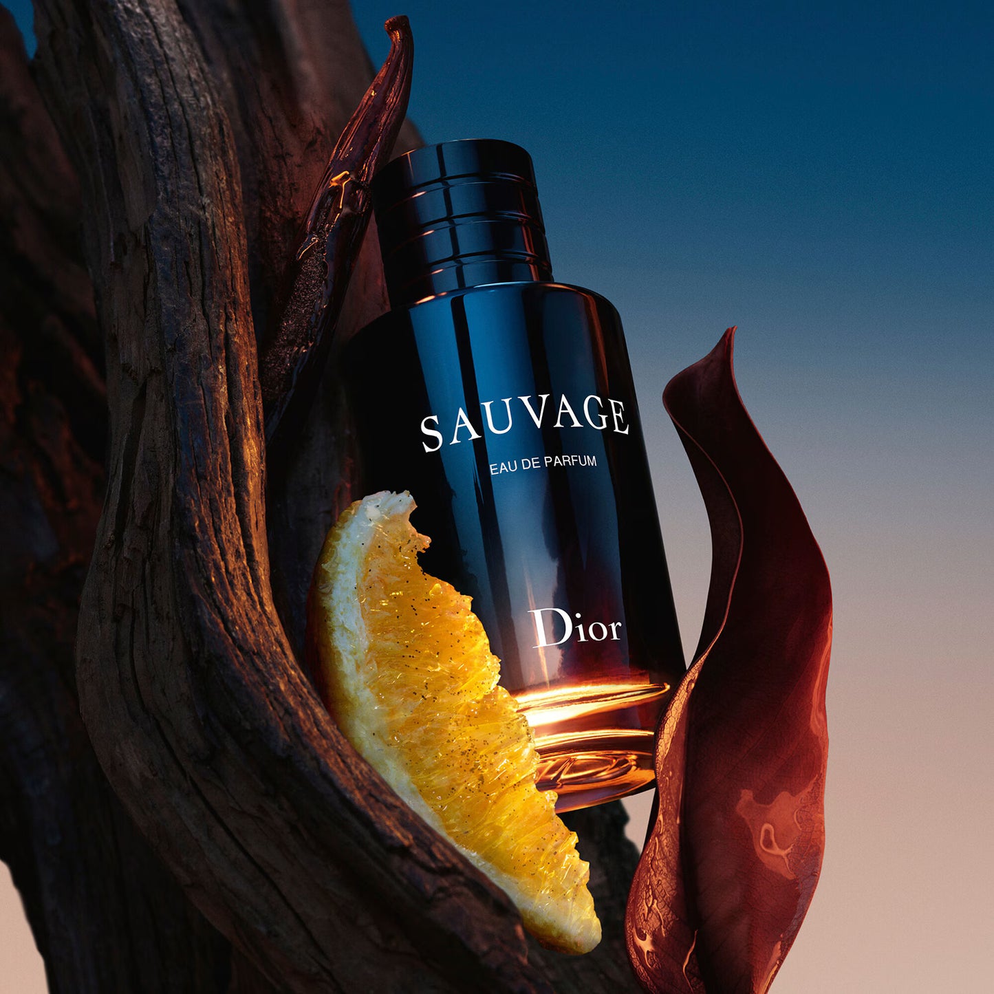 Dior Sauvage Eau de Parfum Testeur 100 ml Homme : L’Intensité Élégante du Parfum Masculin Dior