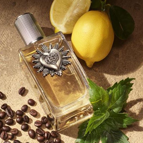 Dolce & Gabbana Devotion Pour Homme Eau de Parfum 50 ml