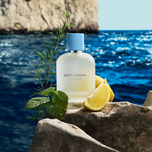 Dolce & Gabbana Light Blue Pour Homme Eau de Toilette 100 ml – Parfum Homme Frais et Méditerranéen