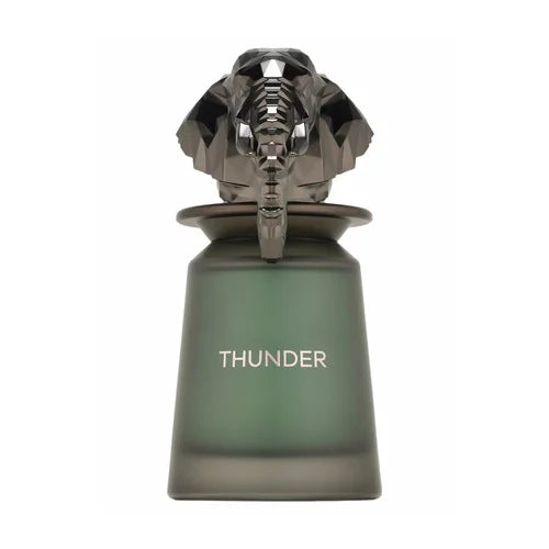 French Avenue Thunder Eau De Parfum 100 ml Homme
