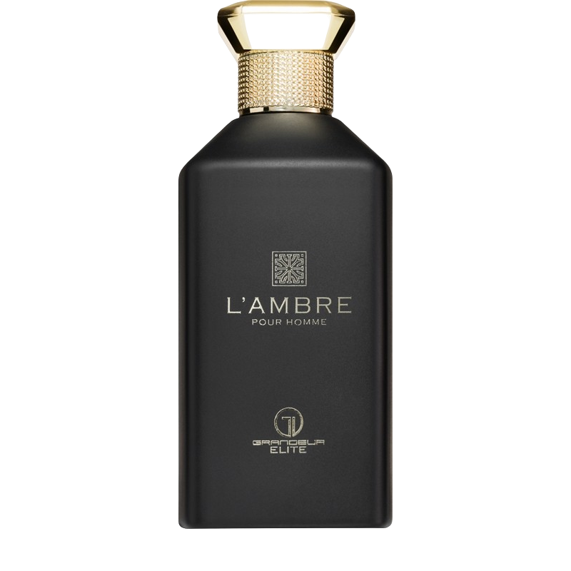 Grandeur L'Ambre Eau de Parfum Homme 100 ml – L'Élégance Ambrée au Caractère Affirmé