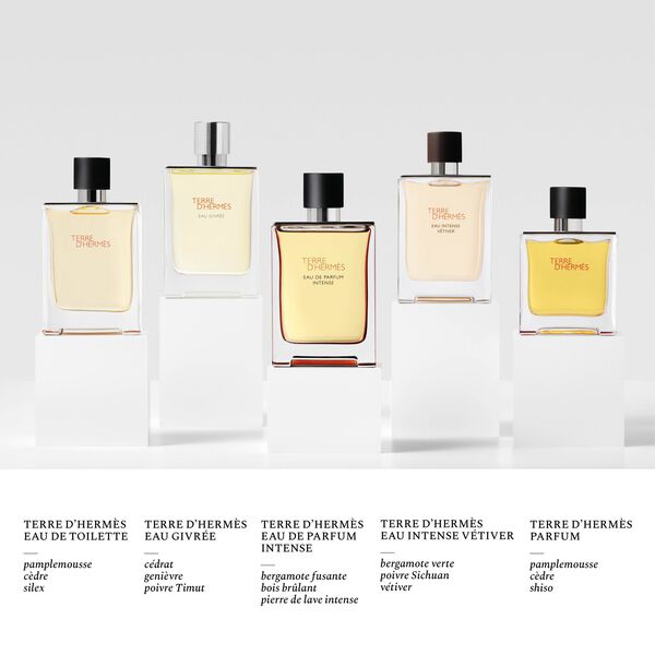Hermès Terre d’Hermès Eau Intense Vétiver Eau de Parfum Homme 200 ml