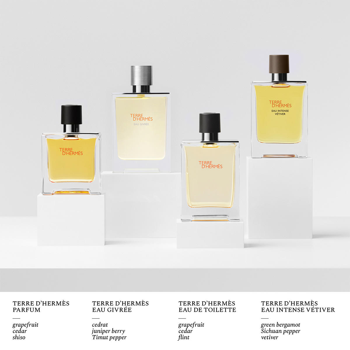 Hermes Terre D'Hermes Eau de Toilette Homme 100 ml