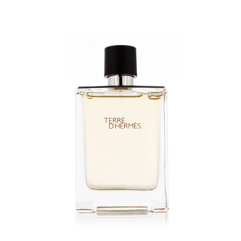 Hermès Terre d’Hermès Eau de Toilette Testeur 100 ml Homme