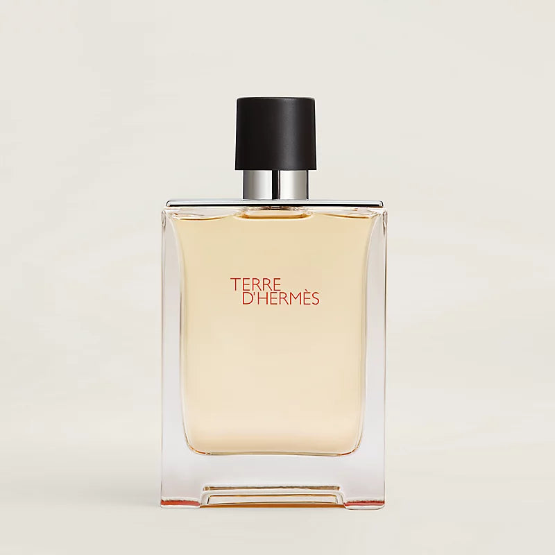 Hermès Terre D'Hermes Eau de Toilette Testeur 100 ml Homme