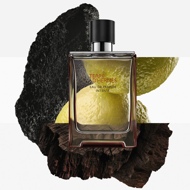 Hermès Terre D'Hermes Intense Eau de Parfum Homme 50 ml