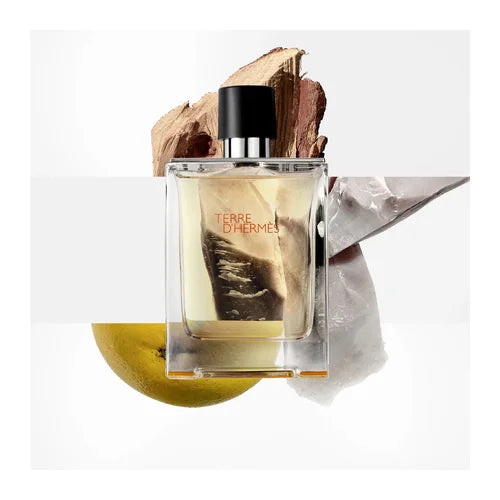 Hermès Terre d'Hermès Eau de Toilette Homme 100 ml