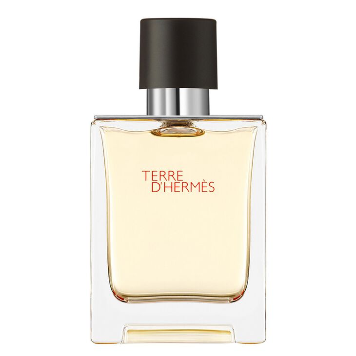 Hermès Terre d'Hermes Eau de Toilette Homme 50 ml