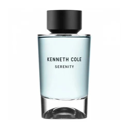 Kenneth Cole Serenity Eau de Toilette Homme 100 ml