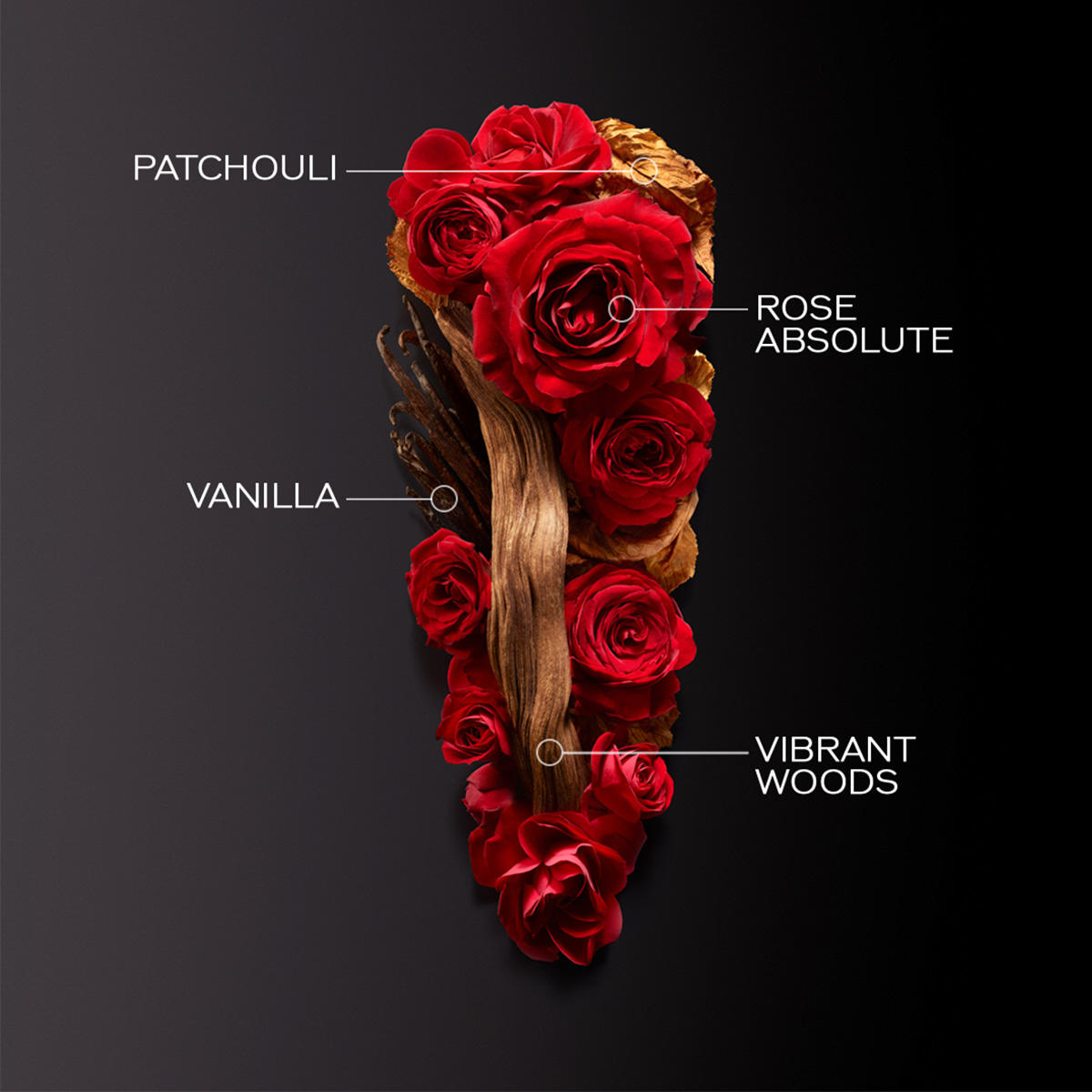 Shiseido Ginza Intense Eau de Parfum Femme 50 ml