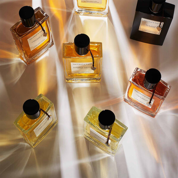 Van Cleef & Arpels Collection Extraordinaire Bois D'Iris Eau de Parfum Femme 75 ml