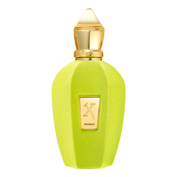 Xerjoff Amabile Eau de Parfum Testeur 100ml Unisexe