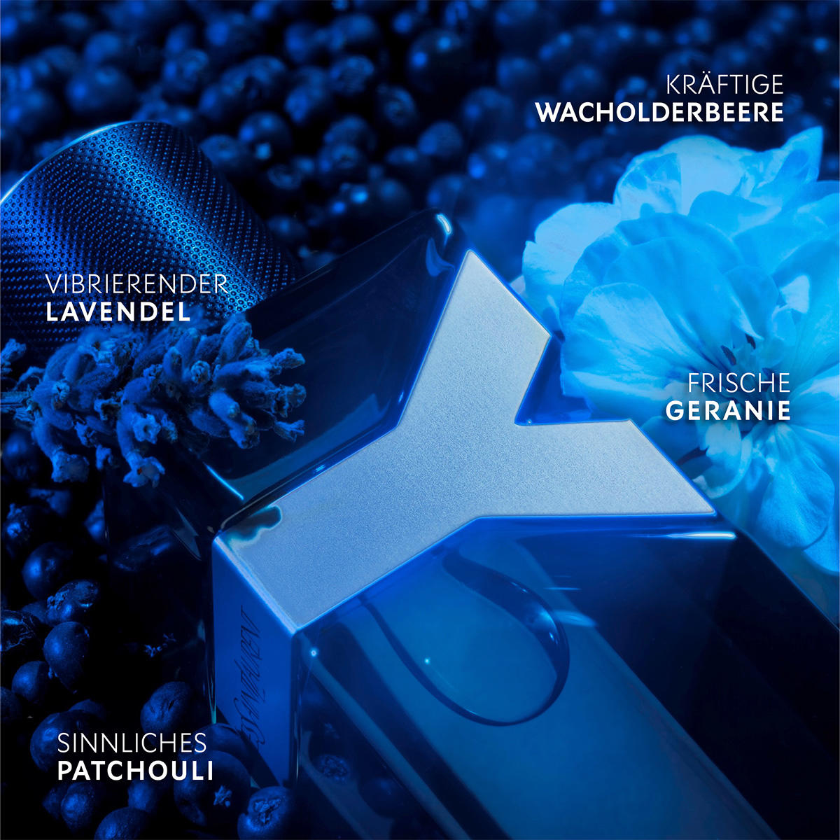 Yves Saint Laurent Y Intense Eau de Parfum Homme 100 ml