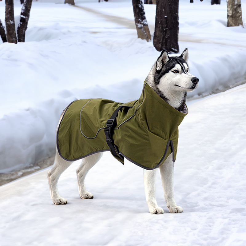 Veste imperméable pour chien avec doublure polaire pour le froid et l'extérieur