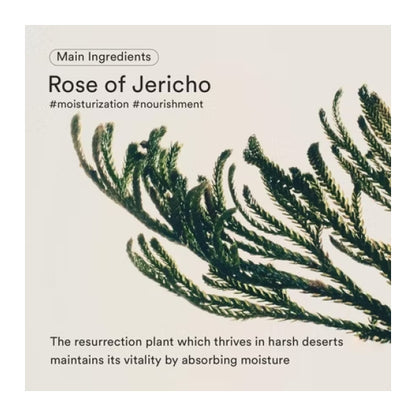 Abib Jericho Rose Bifida Serum 50 ml