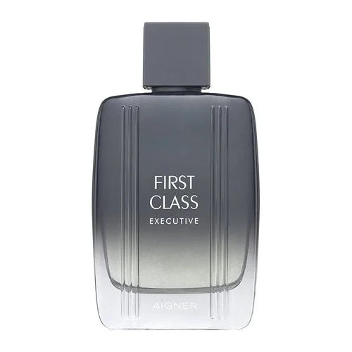 Aigner First Class Executive Eau de Toilette Homme 100 ml