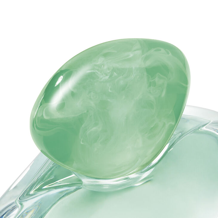 Armani Acqua di Gioia Eau de Parfum Femme 50 ml