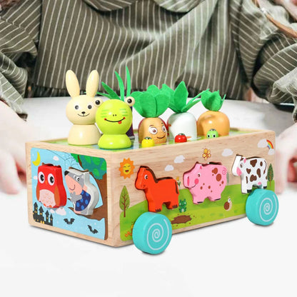 Jouets Montessori, jouet de développement, jeu de récolte de carottes, jouet en bois