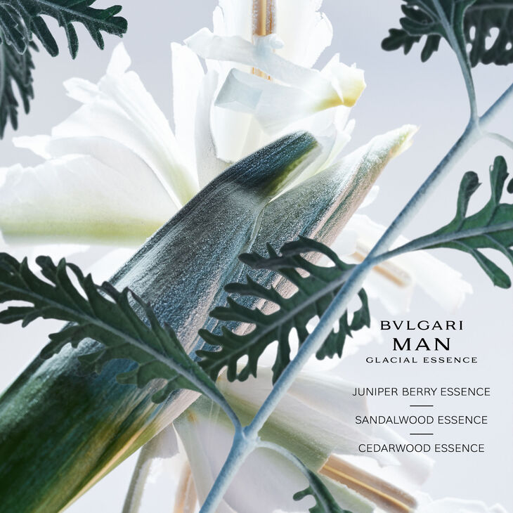 Bvlgari Man Glacial Essence Eau de Parfum Homme 100 ml