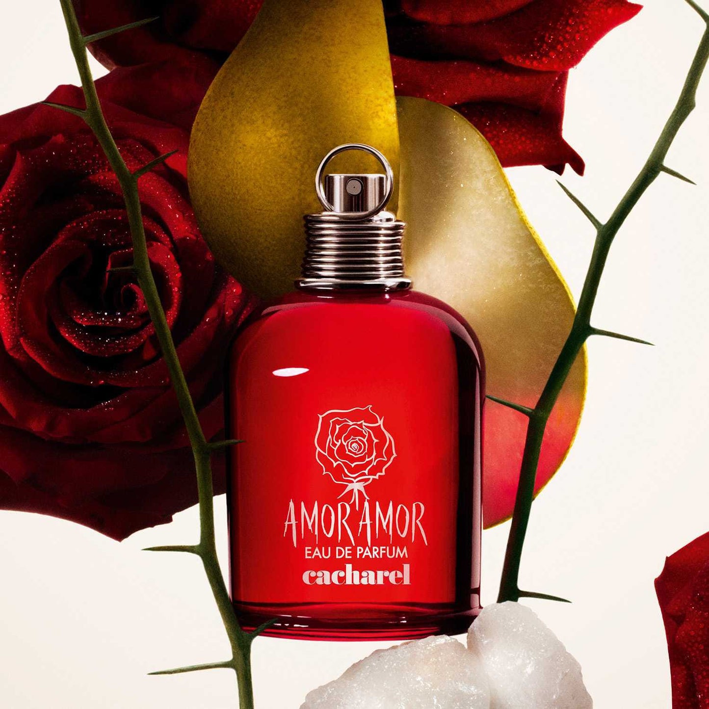 Cacharel Amor Amor Eau de Parfum Femme 50 ml – Le Parfum de la Passion et de la Féminité