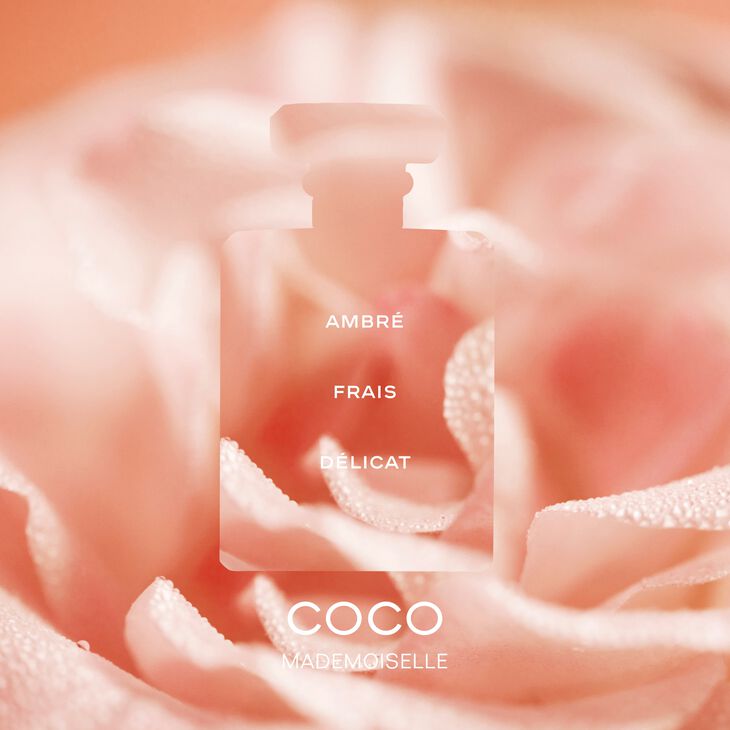 Chanel Coco Mademoiselle L’Eau Privée Eau pour la Nuit Femme 100 ml