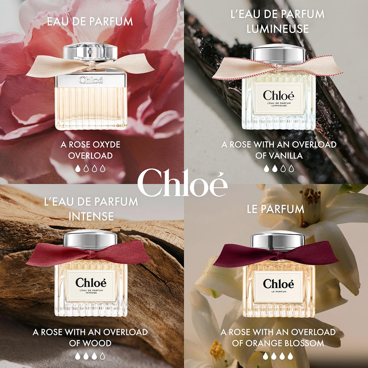 Chloé Le Parfum Femme 100 ml Rechargeable – Parfum Floral Ambré Élégant