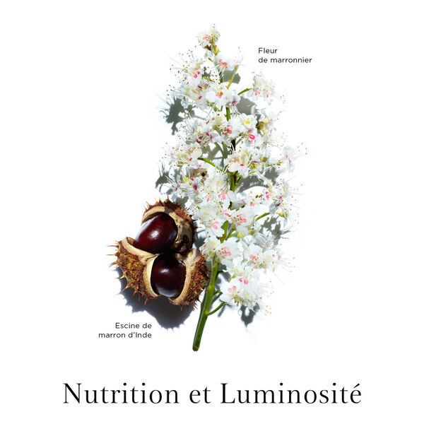 Clarins Nutri-Lumière Jour Crème Revitalisante Lumière 50 ml