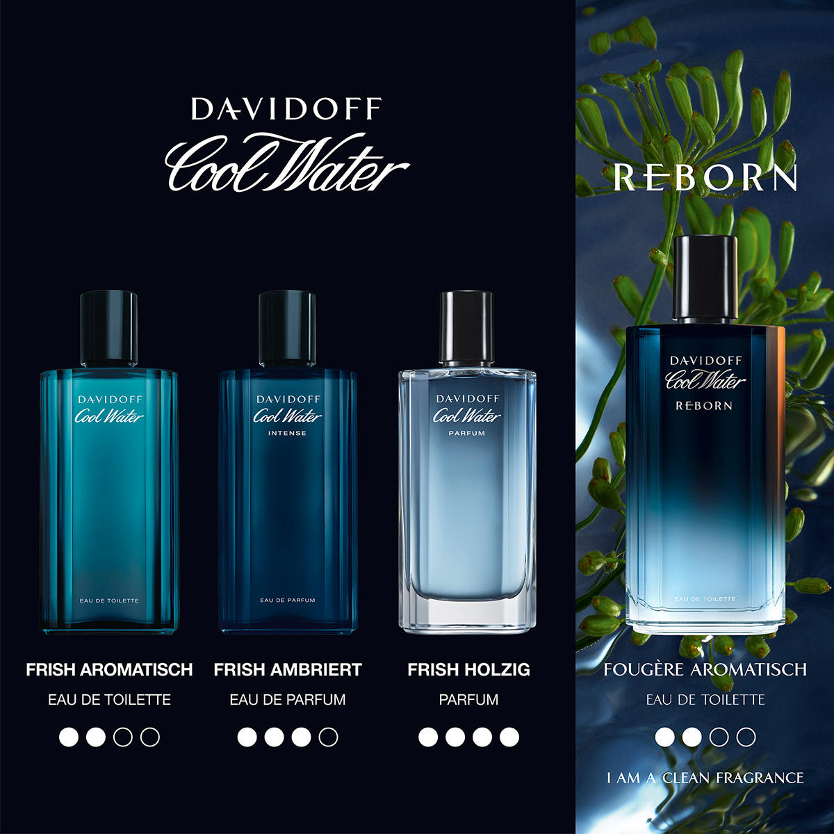 Davidoff Cool Water Reborn  Eau de Toilette Homme 125 ml