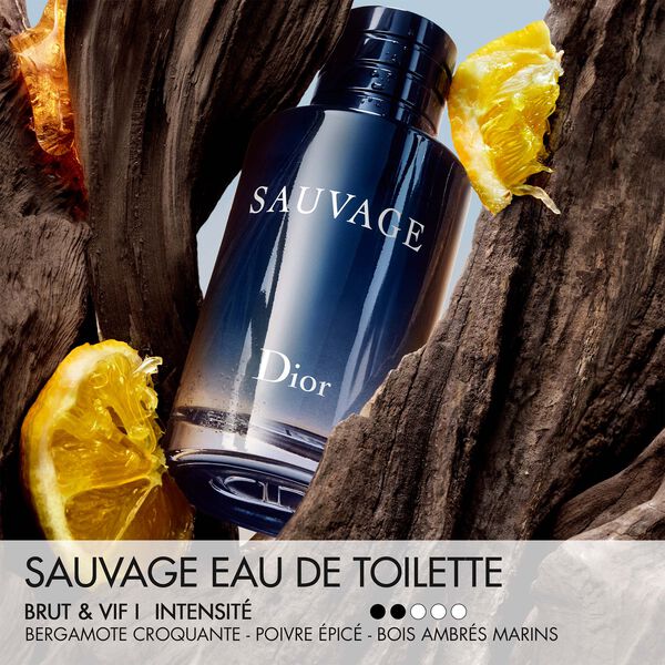 Dior Sauvage Eau de Toilette Homme 200 ml – L'Icone de la Parfumerie Masculine
