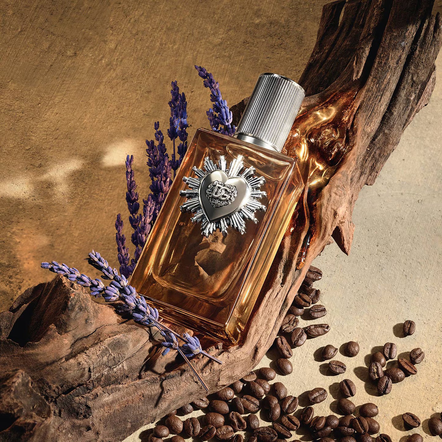 Dolce & Gabbana Devotion Pour Homme Parfum 100 ml – L'Intensité du Charisme Masculin