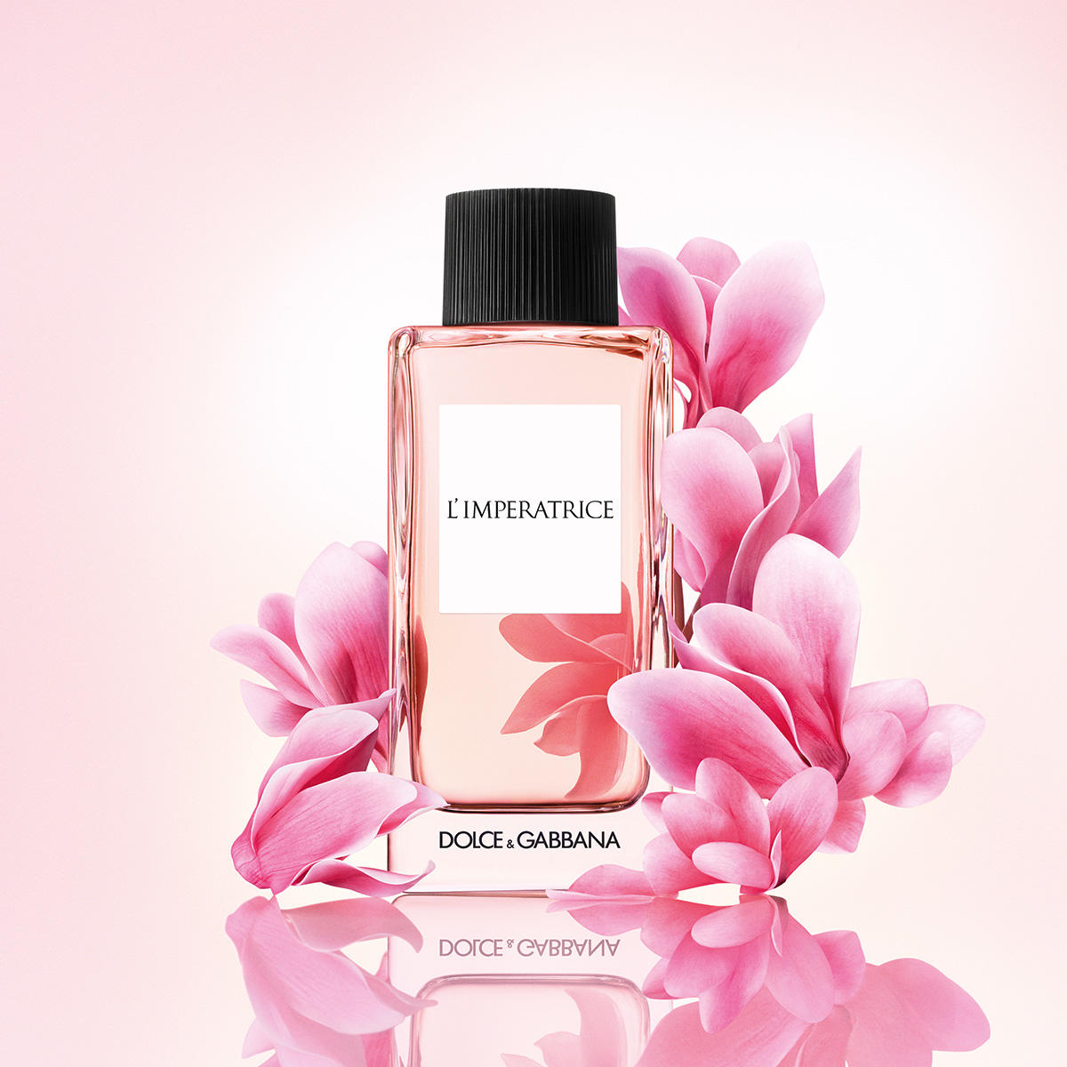 Dolce & Gabbana L'Imperatrice Eau de Toilette Femme 50 ml