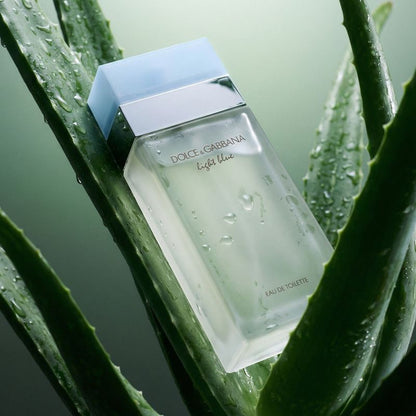 Dolce & Gabbana Light Blue Eau de Toilette Femme 50 ml