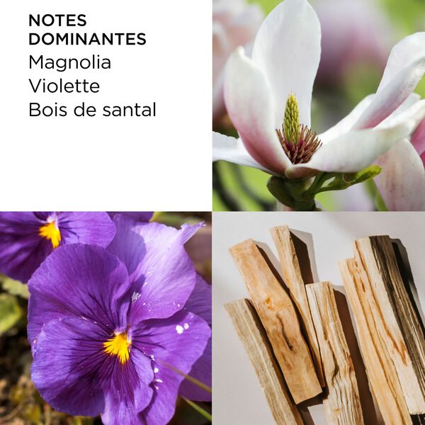 Elizabeth Arden 5th Avenue Eau de Parfum Femme 75 ml