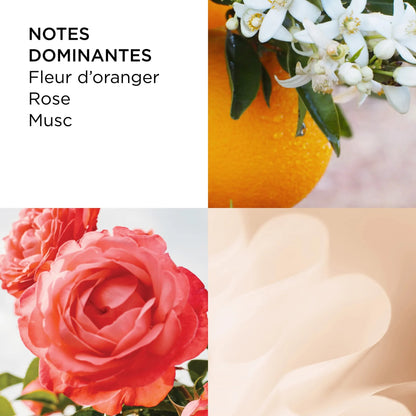 Elizabeth Arden Sunflowers Eau de Toilette Femme 50 ml