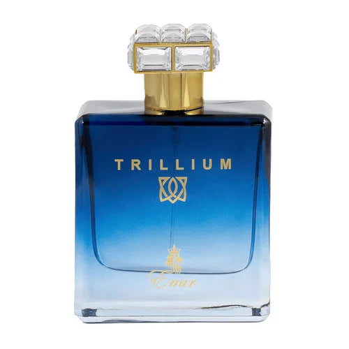 Emir Trillium Eau de Parfum Homme 100 ml