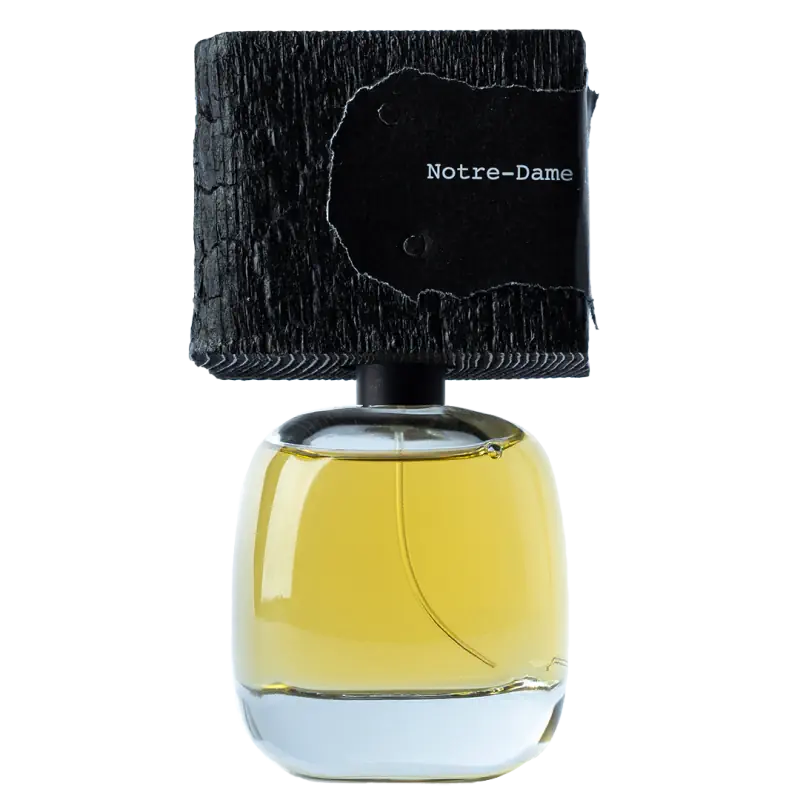 Filippo Sorcinelli Notre-Dame 15.4.2019 Extrait de Parfum 100 ml (Unisexe)