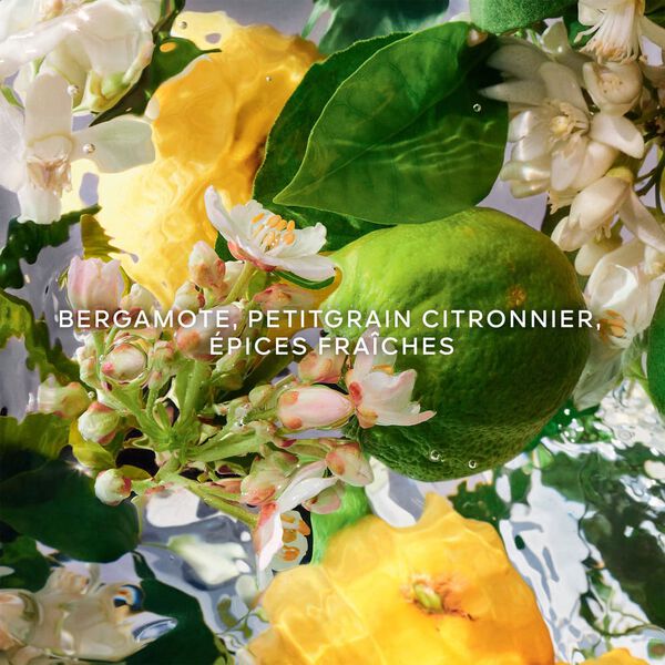 Guerlain Aqua Allegoria Bergamote Calabria Eau de Toilette Unisexe 125 ml