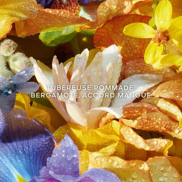 Guerlain Aqua Allegoria Florabloom Eau de Toilette Femme 75 ml Rechargeable