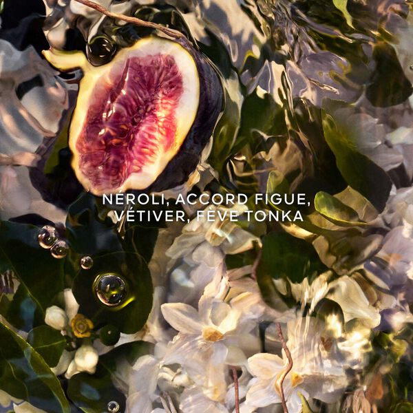 Guerlain Aqua Allegoria Nerolia Vetiver Forte Eau de Parfum Femme 75 ml